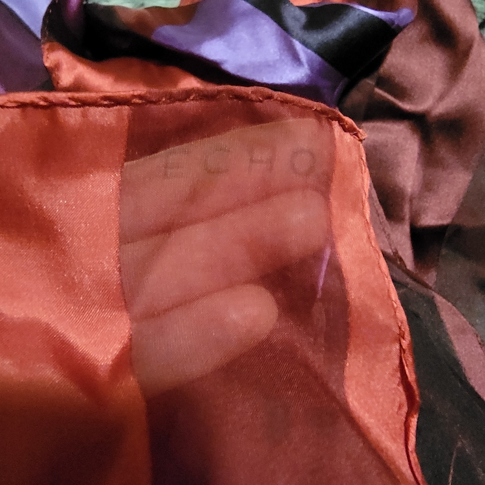 ECHO Transparent Color-Block Scarf - Picture 4 of 4